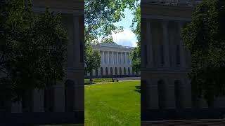 #русскиймузей #питервкармане #веснавпетербурге #лето2023