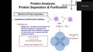 Food Proteins Lect 5 Feb 19 2025