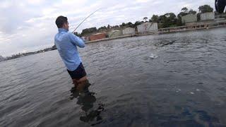 DOUBLE HOOK UP.  Ledge Session - Watsons Leaping Bonito