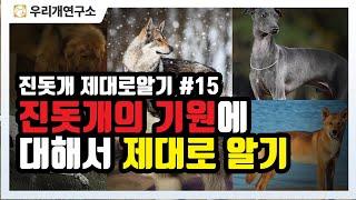 진돗개 제대로 알기 15 - 진돗개는 어떤 종류의 개일까? #우리개연구소 #진도개 #토종개 #진돗개