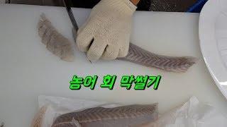 농어 회뜨기 Sea bass sashimi 막썰이