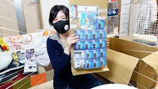 メダカを今月は強化するようです｜買い物開封