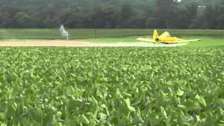 plane spraying  headline on soybeans
