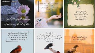 Golden Worlds About Life / Islamic Qoutes In Urdu/ Urdu Qoutes @soniayounas26