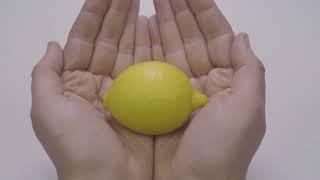 Lemon Laws - Stop Motion  - Spanish