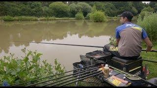 Top tips to catch lots of carp and F1s by fishing shallow