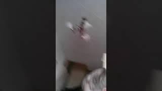 Про100 видео