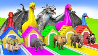 5 Giant Duck Cartoon,Cow,Elephant,Tiger,Lion,Giraffe,Paint Wild Animals Crossing Fountain Animation