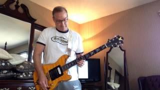 Phred Instruments Wolf Guitar Review