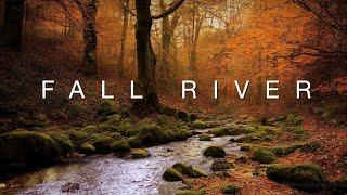 Fall River - 3 hours of water flowing, lapping - relaxing autumn nature ambience