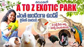 A TO Z Park Tour in Tirupati | Beautiful Birds | Cute Rabbit | Telugu Vlogs | Tirupati Updates