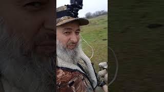 охота была удачной, последний день утиной охоты, мр155