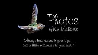 Kim Michaels' Photos