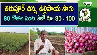 లాభాల పంట తిరుపూర్ చిన్న ఉల్లిపాయ సాగు || Success Story of Tirupur Onion Farming || Karshaka Mitra