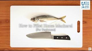 How to Fillet Horse Mackerel（ For Beginners）-｜日本さばけるプロジェクト