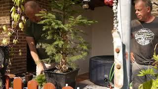 Zu Gast bei Mike`s bonsai and more - Teil 1