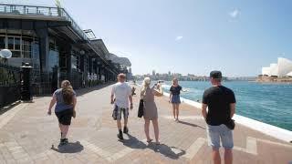 Sydney Video Walk 4K - The Rocks to Barangaroo Reserve Spring 2017