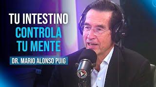 Así afectan el ESTRÉS Y LA ALIMENTACIÓN A TU FELICIDAD Y SALUD | Mario Alonso Puig