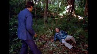 McGarrett Busts Wo Fat in Final Scene of Hawaii Five-0 Original Series - 1980