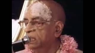 "We Have To Tolerate" Srila Prabhupada's Lecture on 29th March 1977 in Bombay(Mumbai), India