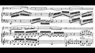 Beethoven: Violin Sonata no. 7 in C minor, op. 30 no. 2