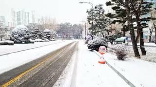 Walk with me around SeoulTech  | Korea  #trendingvideo #korean #bts #tamizhaninkorea #snowfall