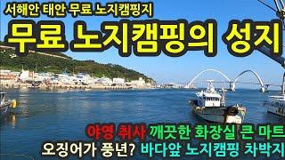 서해안 태안 무료 노지캠핑지의성지/야영 취사 깨끗한 화장실 큰 마트/오징어가 풍년/바다앞 노지캠핑 차박지