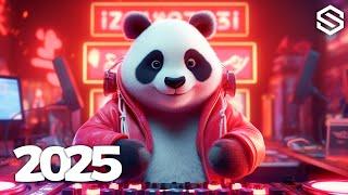 Music Mix 2025  EDM Mixes Of Popular Songs  EDM Bass Boosted Music Mix #013