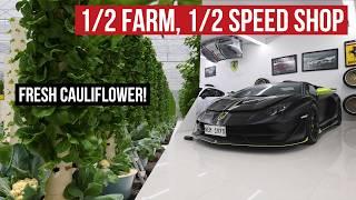 When A Farmer Is Obsessed With Cars: Angie Mead King's Vegetable Farm / Car Shop