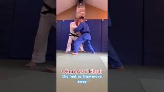 Okuri ashi barai - more in-depth analysis on Judo Excellence on naeffectivefighting.com