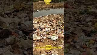 Mission yamuna:A fight to save our river yamuna/delhi,we hope our govt can do it properly 