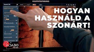 Hogyan használd a szonárt (halradart)! Az alapoktól Hipszki Róberttel.