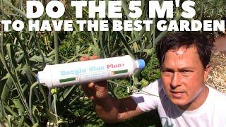 Do the 5 M's to Have the Best Summer Organic Vegetable Garden Ever