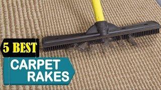 Best Carpet Rake 2024 - Top 5 Carpet Rakes Reviews