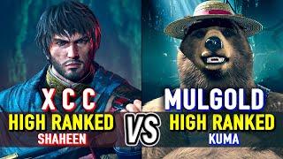 T8  X C C (High Ranked Shaheen) vs MULGOLD (High Ranked Kuma)  Tekken 8 High Level Gameplay