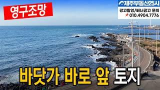 [매물번호0453] 건축허가받은 바닷가 1선 영구조망토지  급매물  #제주도부동산