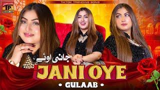 Gulaab | Jani Oye Song | Viral Song jani Oye | Tp Gold