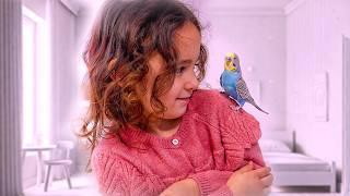 Can Your Child Handle the Responsibility of Caring for a Budgie?