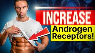 How To Increase Androgen Receptors!