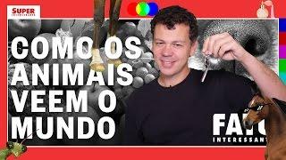 Como os animais veem o mundo - Fato Interessante #15