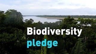 Biodiversity pledge