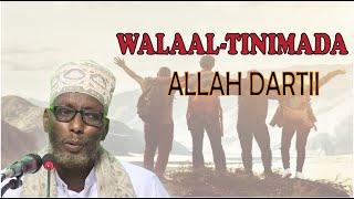 WALAAL-TINIMADA ALLAH DARTII  || Dr. OMAR ALI ABDULLE ||  SH/ABDIFATAH HASSAN AHMED |
