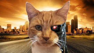 Terminator - Starring My Cat | Terminator Movie Trailer