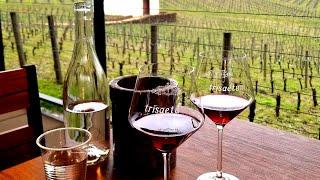 Trisaetum Winery Tasting Room | Wineswinging Visit