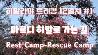 히말라야 트레킹 12일차 #1(Rest Camp-Rescue Camp)