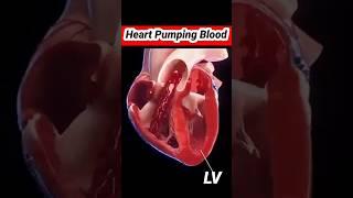 ️️    heart pumping blood   रक्त वाहिनी #viralvideo #pumping #viralreels #shorts