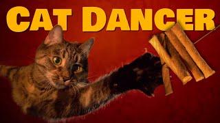 CAT DANCER toy by Cat Dancer | One Cat One Toy One Minute Review