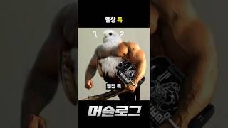 헬창 특 #헬창특징 #헬스