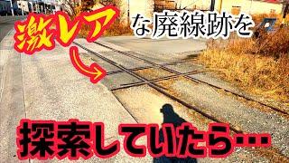 【悲報】逮捕されかけました…