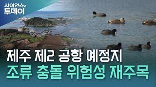 철새 도래지에 둘러싸인 제주 제2 공항 예정지 / YTN 사이언스